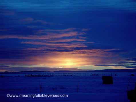 Beautiful Farm Sunset