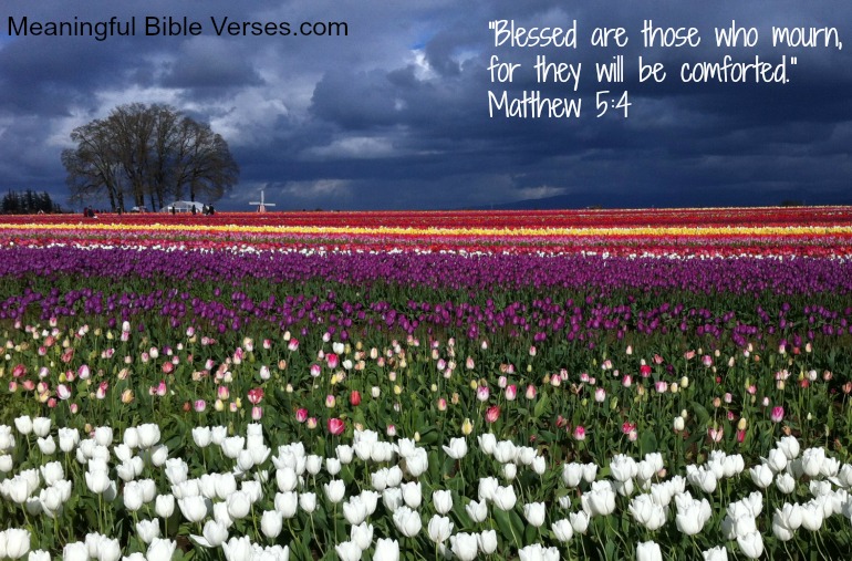 Blessed are those who mourn