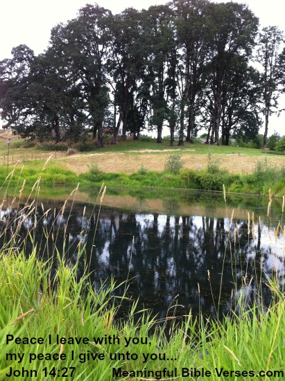 Peaceful Pond
